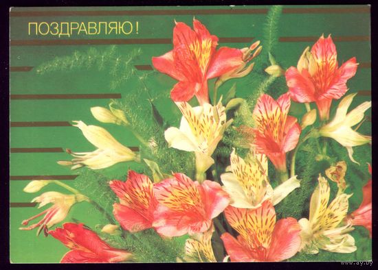 1987 год И.Дергилёв Поздравляю! чист