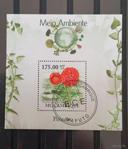 ЛИСТ ФЛОРА ЦВЕТЫ ГРИБЫ  СТО