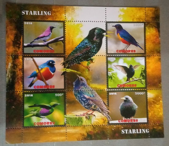 СЕРИЯ Блоков птицы  фауна MNH