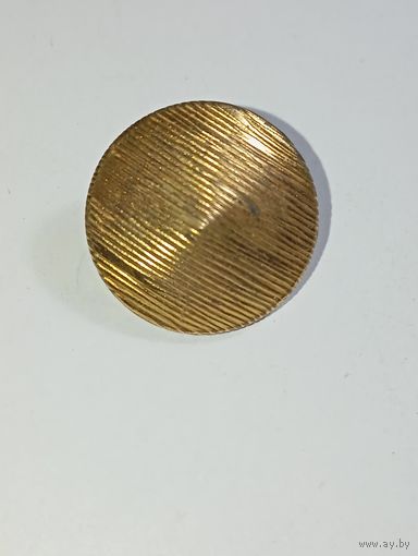 Пуговица большая .