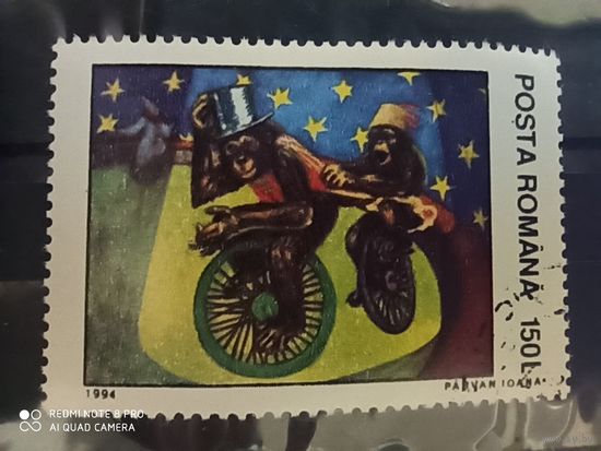 Румыния 1994, цирк