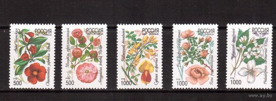 Россия-1997 (Заг.333-337) ** , Цветы