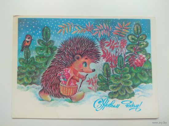 Жебелева. 1986