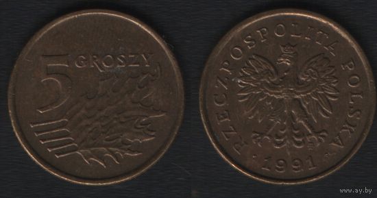 Польша y278 5 грош 1991 год (mw) (_5
