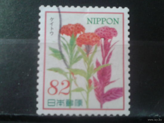 Япония, 2016. Целозия