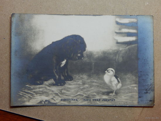 Открытка.1911г.