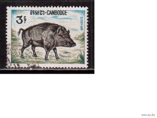 Камбоджа-1967,(Мих.212)  гаш. , Фауна, кабан(1)