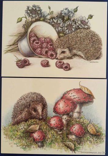 Ежики. 2 шт. Н.Царицына. Белорусь. 2021 г.