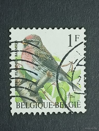 Бельгия 1992. Птицы