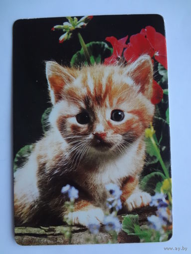 Календарик 1997 г. Котенок и цветы.