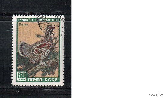 СССР-1959, (Заг.2244),   гаш. (с клеем)  , Фауна, Рябчик