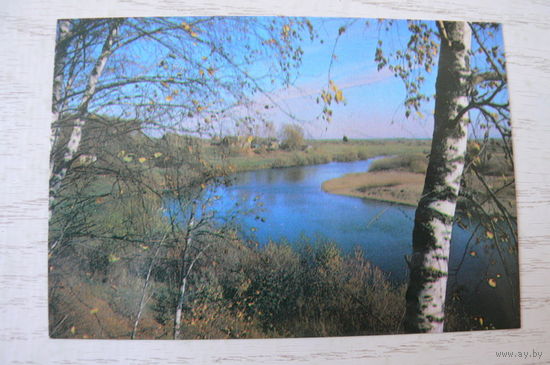 Календарик, 1989, Природа.
