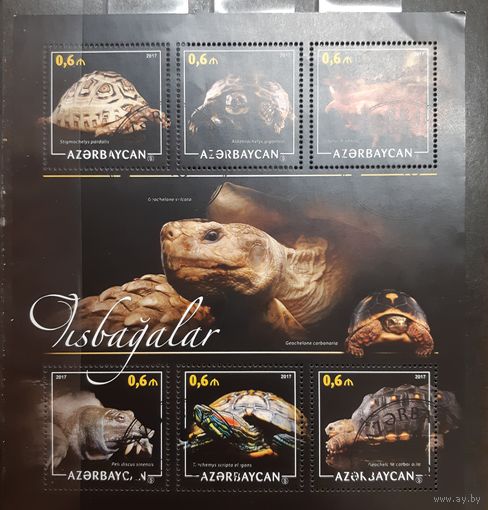 Азербайджан. 2017 год. Фауна. Рептилии. Черепахи (1102)