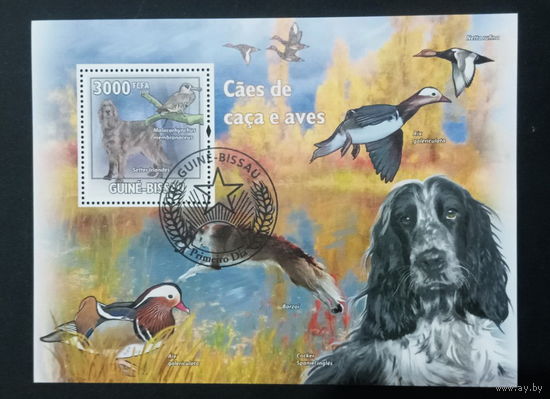 ФАУНА СОБАКИ ПОРОДЫ СОБАК ЖИВОТНЫЕ     БЛОК  сто