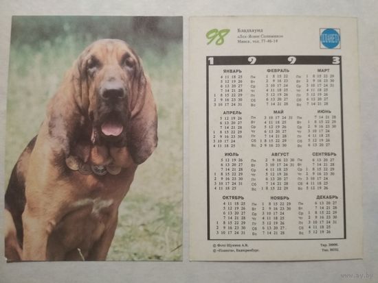 Карманный календарик. Собака.1993 год
