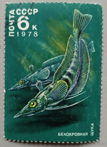 СССР, 1978. Щука