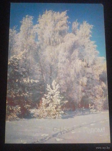 С Новым годом!(фото В.Дорожинского)