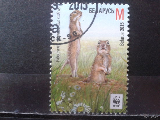 2015 Суслики WWF