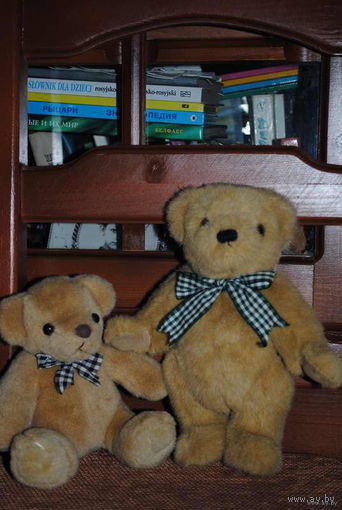 К Вашему вниманию в этом лоте представлены: 3-ри б.у. пары игрушек из (мишак/мишей/мишутак/мишулек=), - цена за каждую пару, т.есть за одну любую = 30 у.е. Делайте свой выбор!)