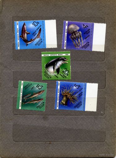 СССР, 1991, ФАУНА** МОРЯ, серия 5м  чистая