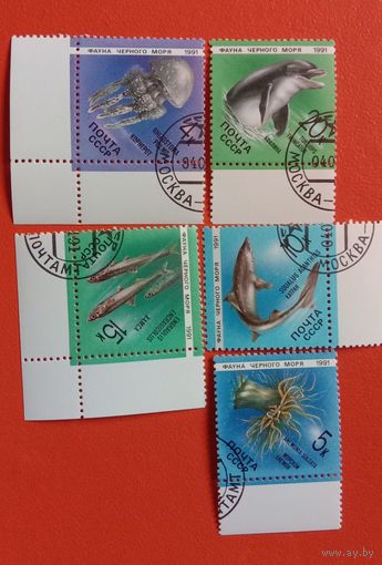 СССР 1991 Фауна Черного моря Исаков А.