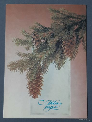 Чистая. С Новым Годом! Дергилев 1984 г.