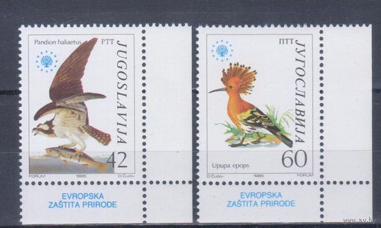 [17] Югославия 1985. Фауна.Птицы. СЕРИЯ MNH. Кат.4,5 е.