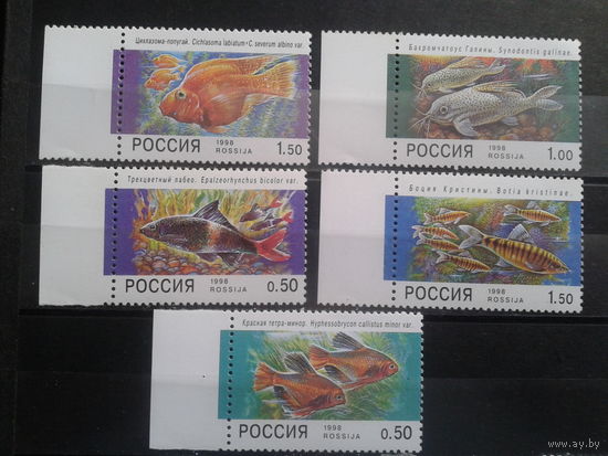 Россия 1998 Аквариумные рыбки** Полная серия