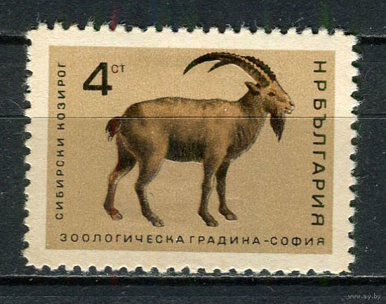 Болгария - 1966 - Сибирский горный козел 4St - [Mi.1621] - 1 марка. MH.  (Лот 9Fu)-T25P6