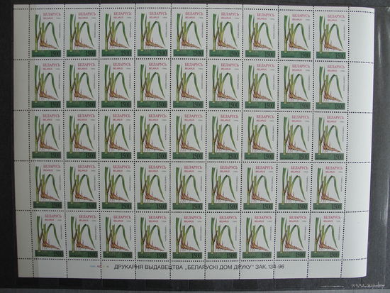 Продажа коллекции с 1 рубля! Чистые почтовые марки РБ в листах.