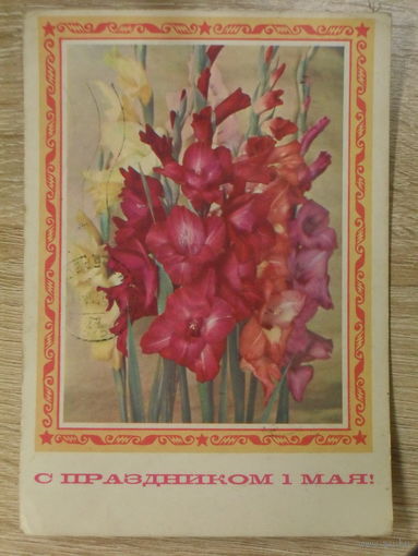 ПОДПИСАННАЯ ОТКРЫТКА СССР "С ПРАЗДНИКОМ 1 МАЯ" ФОТО Г. КОСТЕНКО. 1975 г.