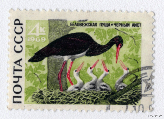 Марка СССР 1969 Черный аист
