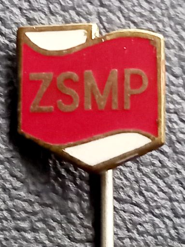Польские пионеры. ZSMP