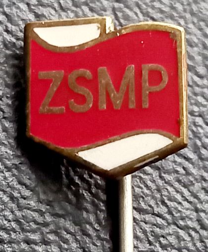 Польские пионеры. ZSMP