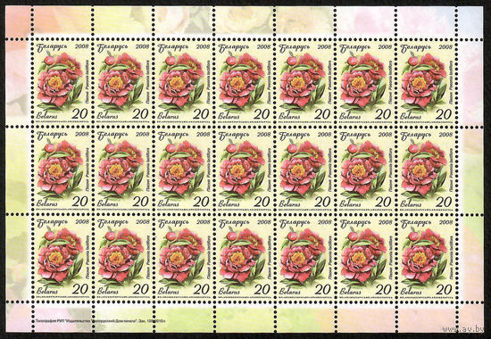Беларусь. 2008. Стандарт. Пион (20р) (з.128-2010) Лист