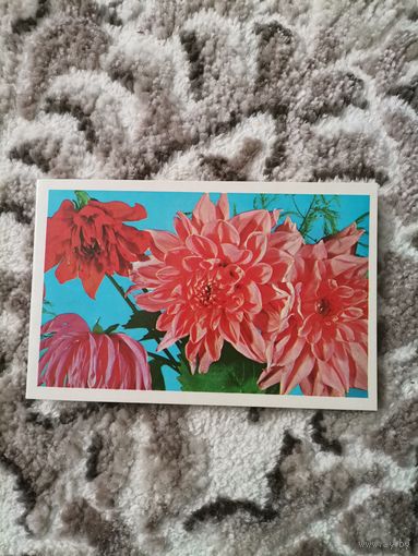 Открытка СССР 1972 С днем рождения!