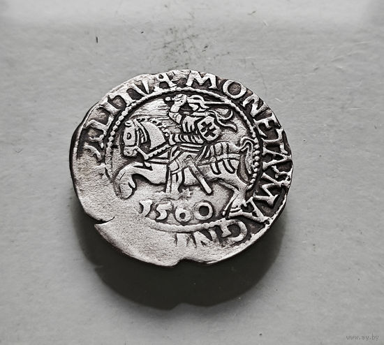 Полугрош 1560 г. Сигизмунд II Август, Вильно, лот рп-14,7