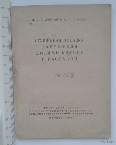 1947г. И.В.Якушкин,А.В.Лисова Сгущенная посадка картофеля долями клубня и рассадой