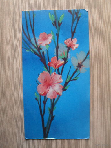 ДВОЙНАЯ ЧИСТАЯ ОТКРЫТКА.СССР. ВЕТОЧКА. 1974 год. худ. С. БОРОЛИН.