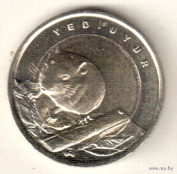 Турция 1 лира 2016 Соня