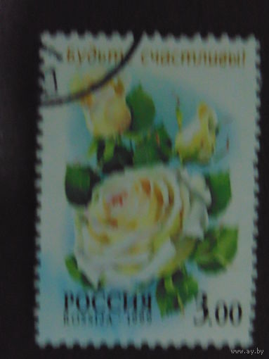 Россия 1999 г. Розы.