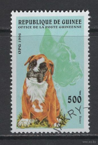 Фауна Собаки Гвинея 1996 Домашние животные  Used