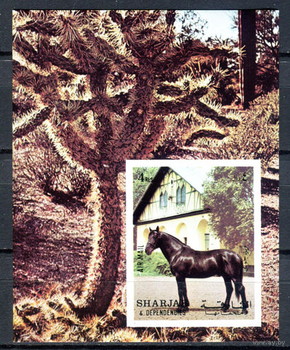 Шарджа - 1972г. - Лошади - полная серия, MNH [Mi bl. 116] - 1 блок