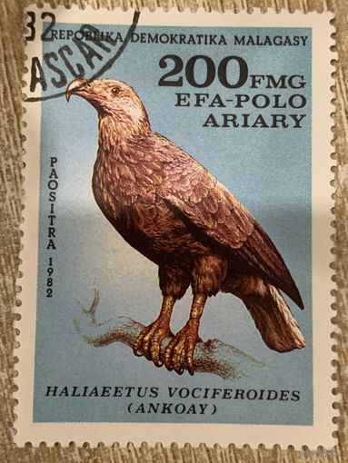 Мадагаскар 1982. Хищные птицы. Haliaeetus Vociferoides. Марка из серии