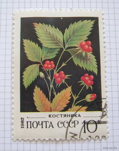 СССP 1980г.