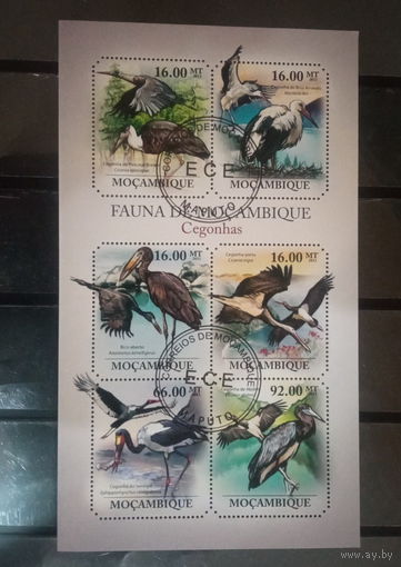 ЛИСТ ФАУНА ПТИЦЫ  СТО