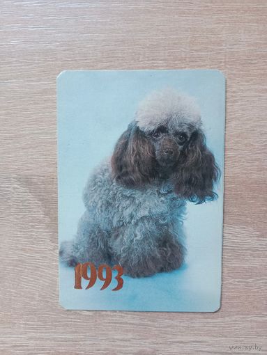 Календарик 1993