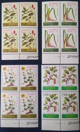 Беларусь 1996 кв. блоки, лекарственные растения