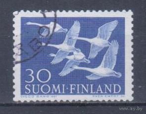 [1939] Финляндия 1956. Фауна.Птицы.Лебеди. Гашеная марка.