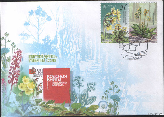 КПД Беларусь 2011 г. - Первоцвет высокий
